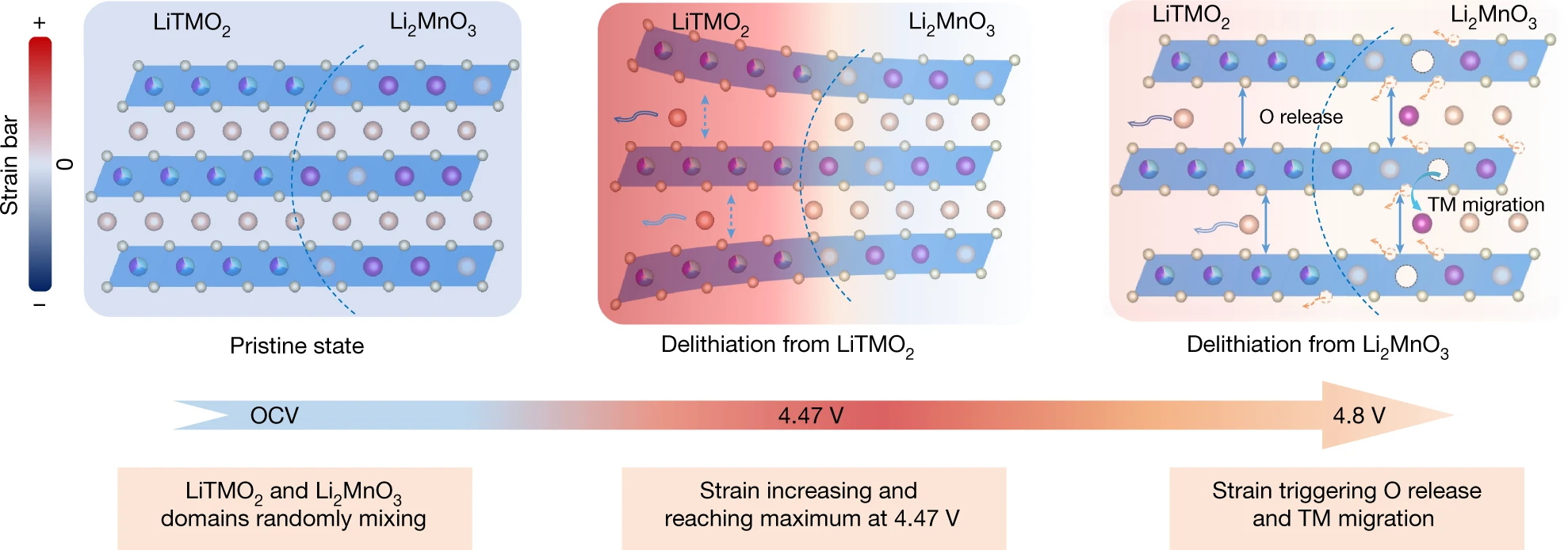高性能正极材料