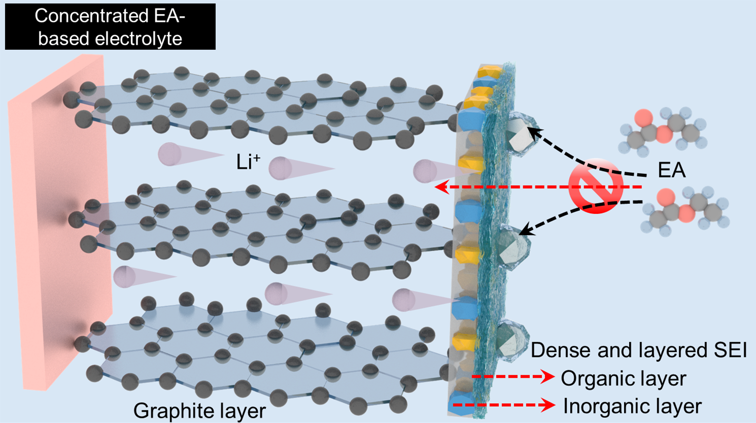电解液与粘结剂